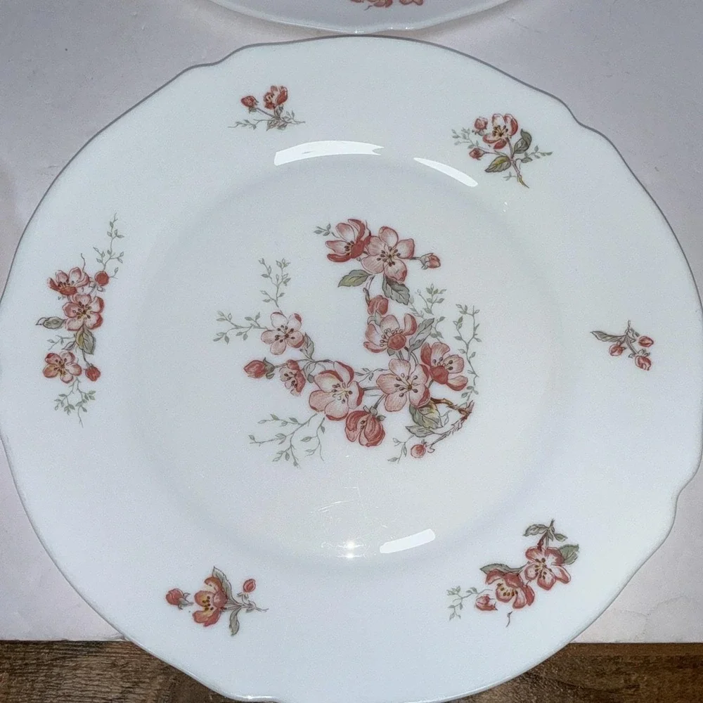 Lot 5 Vintage Arcopal France Florentine Cherry Blossom 10